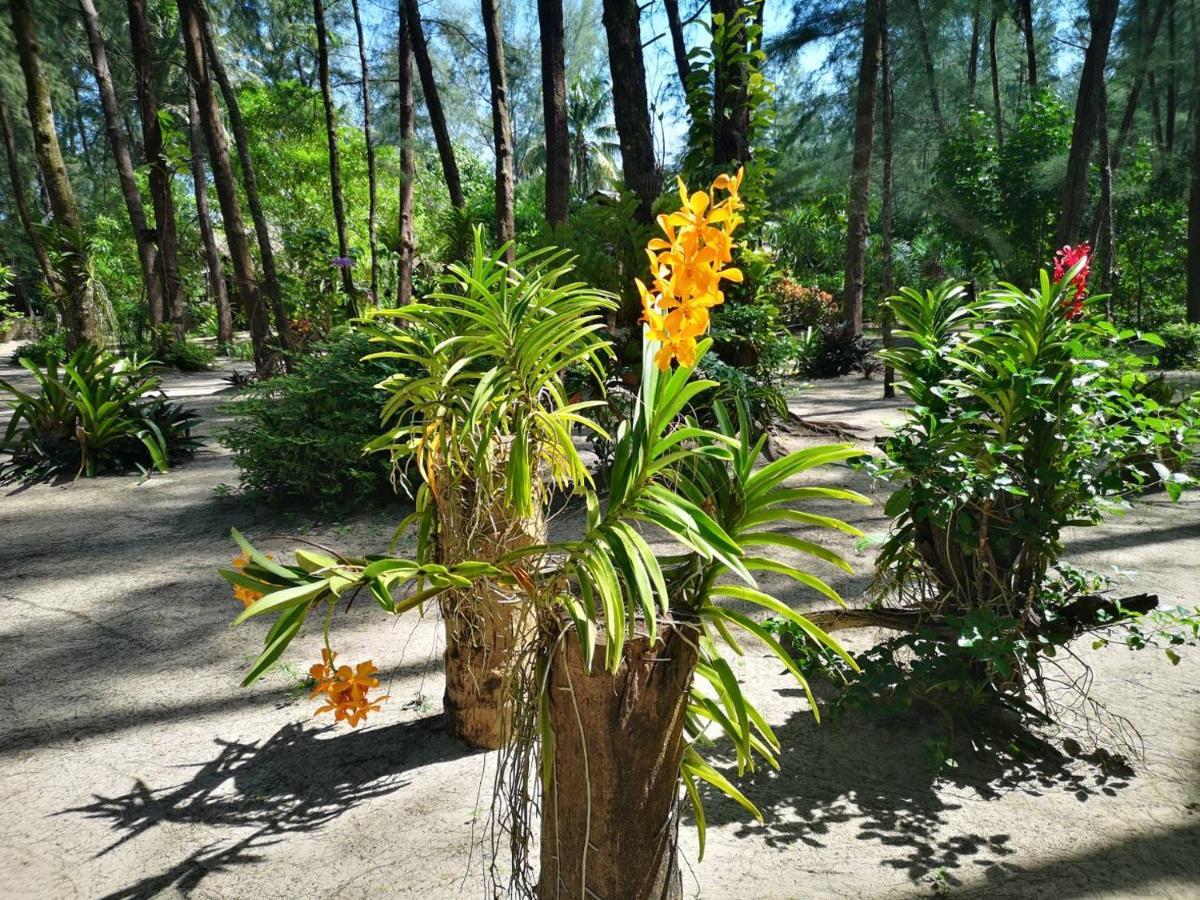 Hapla Beach Cottage Koh Kho Khao Island المظهر الخارجي الصورة
